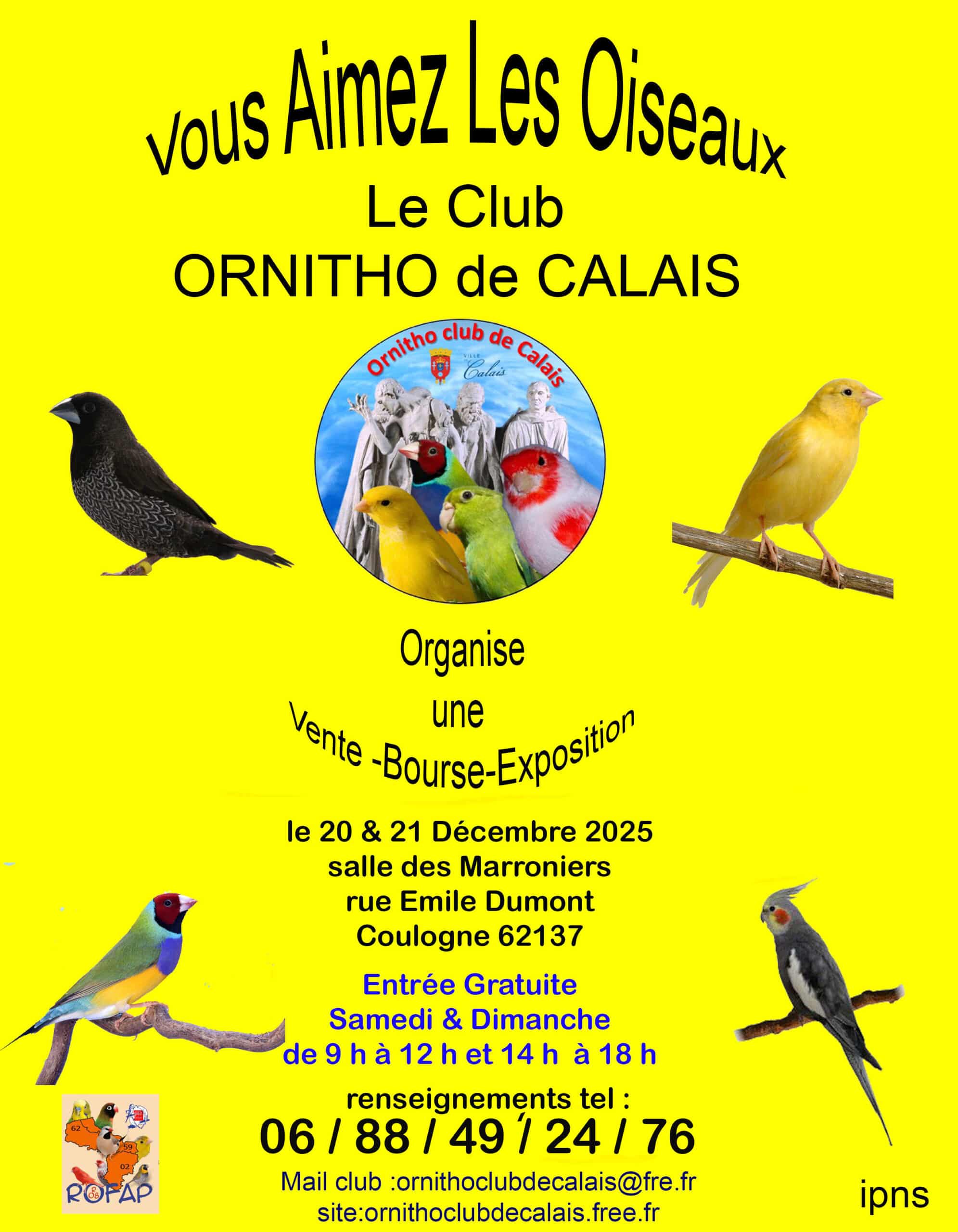 Bourse aux oiseaux