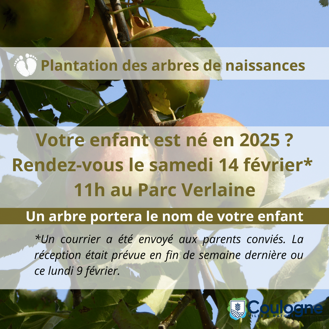 Copie de INVITATION REMISE OFFICIELLE